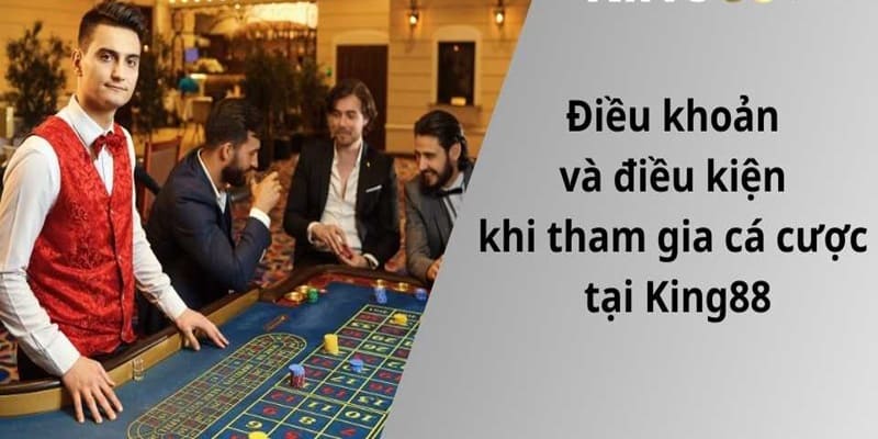 Điều kiện và điều khoản về dịch vụ