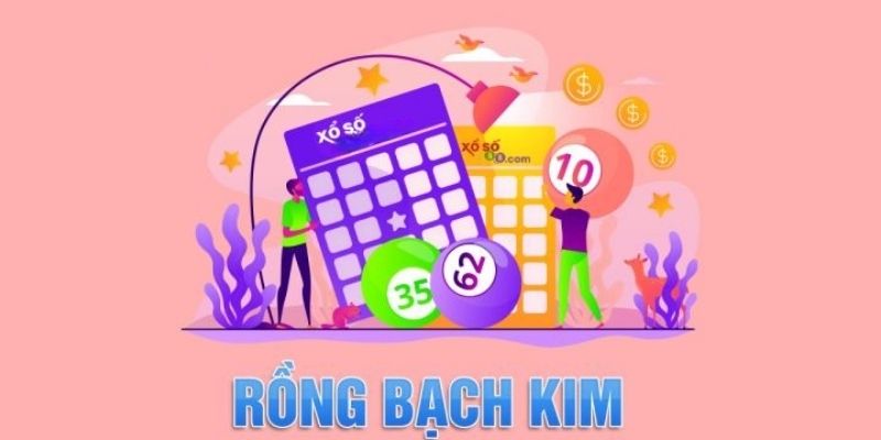 Các phương thức soi cầu rồng bạch kim King88