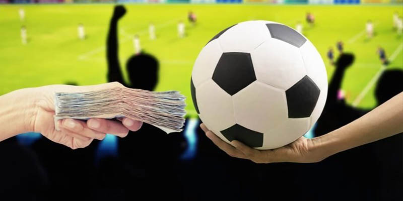 Những cách cá độ bóng đá không thua hiệu quả nhất