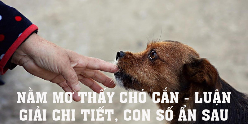 nam-mo-thay-cho-can-anh-bia