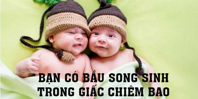 May mắn sẽ đến khi nằm mơ thấy mình có bầu song sinh?