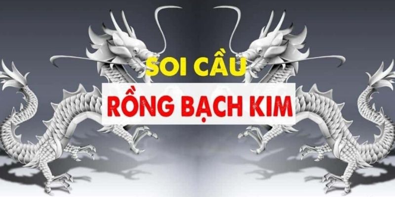 rong-bach-kim-king88