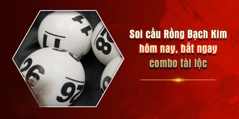 Soi cầu rồng bạch kim đít câm